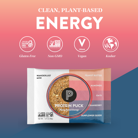 Wanderlust Mini (Peanut Butter, Oats, Cranberry) (12 - 1.34oz Bars)